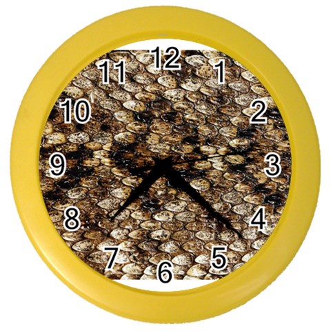 Snake Print	 Color Wall Clock from ArtsNow.com Front