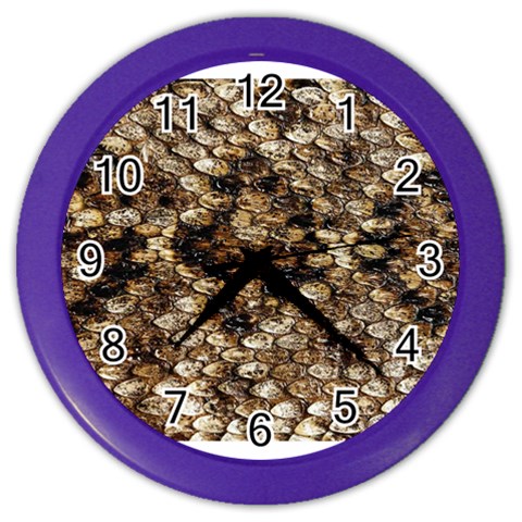 Snake Print	 Color Wall Clock from ArtsNow.com Front