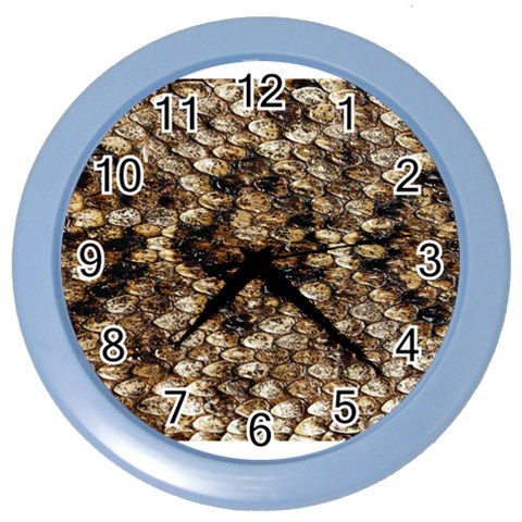 Snake Print	 Color Wall Clock from ArtsNow.com Front