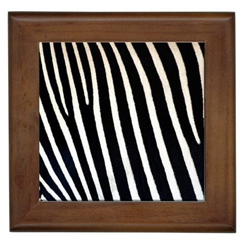 Zebra Print	 Framed Tile from ArtsNow.com Front