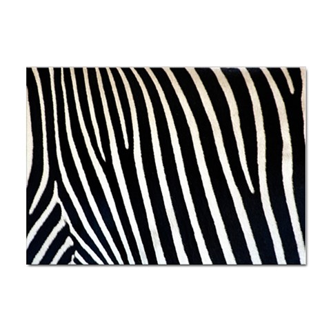 Zebra Print	 Sticker A4 (100 pack) from ArtsNow.com Front