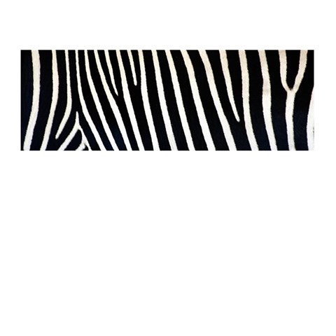 Zebra Print	Memory Card Reader (Stick) from ArtsNow.com Front