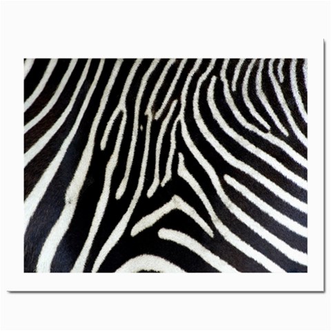 Zebra Print Big	Prints 8  x 10  from ArtsNow.com Front