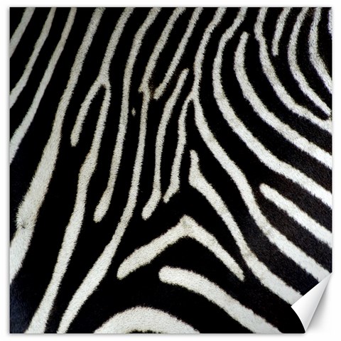 Zebra Print Big	Canvas 12  x 12  from ArtsNow.com 11.4 x11.56  Canvas - 1