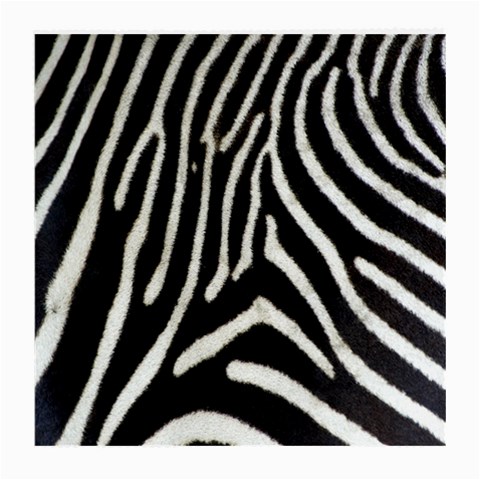 Zebra Print Big	 Glasses Cloth (Medium from ArtsNow.com Back