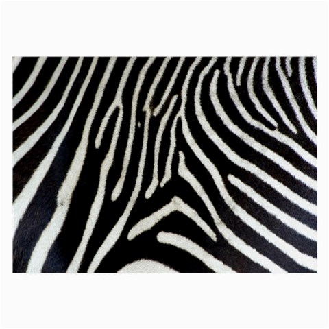 Zebra Print Big	 Glasses Cloth (Large) from ArtsNow.com Front