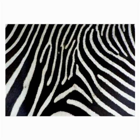 Zebra Print Big	 Glasses Cloth (Large from ArtsNow.com Back