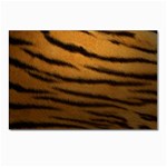 Tiger Print Dark	 Postcards 5  x 7  (Pkg of 10)