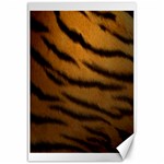 Tiger Print Dark	Canvas 12  x 18 