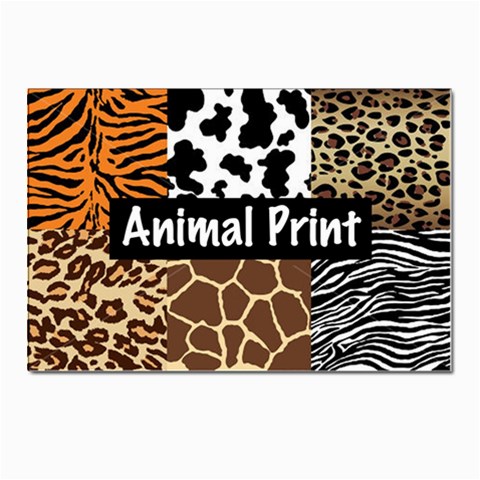 Animal Print	 Postcard 4 x 6  (Pkg of 10) from ArtsNow.com Front