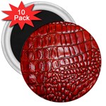 Ll Alligator Natural Color 3  Magnet (10 pack)