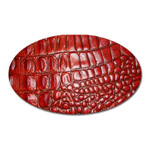 Ll Alligator Natural Color Magnet (Oval) from ArtsNow.com Front