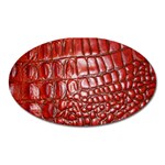 Ll Alligator Natural Color Magnet (Oval)