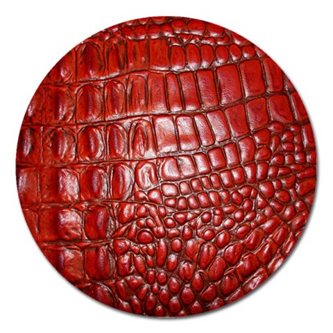 Ll Alligator Natural Color Magnet 5  (Round) from ArtsNow.com Front