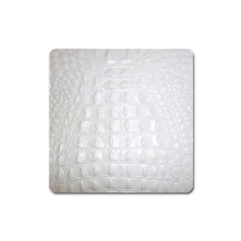 Ll Alligator White Magnet (Square) from ArtsNow.com Front