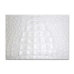 Ll Alligator White Sticker A4 (10 pack)