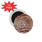 Ll Alligator Macro 1.75  Magnet (10 pack) 