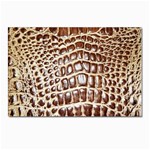 Ll Alligator Macro Postcard 4 x 6  (Pkg of 10)