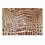 Ll Alligator Macro Postcards 5  x 7  (Pkg of 10)