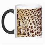 Ll Alligator Macro Morph Mug