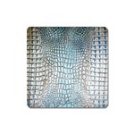 Ll Alligator Blue Magnet (Square)