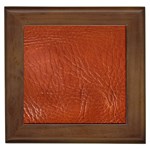 Ll  Gator Framed Tile