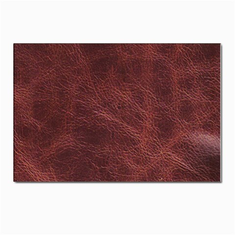 Leather Look & Skins Capri Brown Postcard 4 x 6  (Pkg of 10) from ArtsNow.com Front