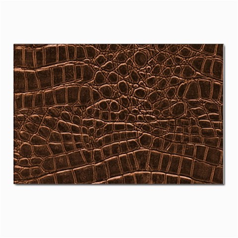 Leather Look & Skins Brown Crocodile Postcard 4 x 6  (Pkg of 10) from ArtsNow.com Front