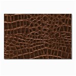 Leather Look & Skins Brown Crocodile Postcards 5  x 7  (Pkg of 10)